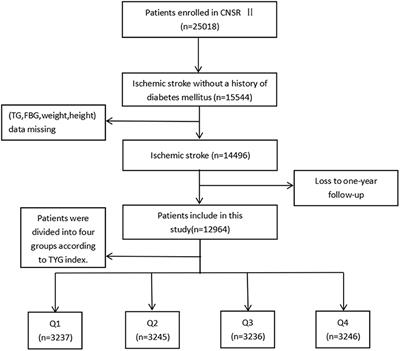 An Analysis of the Potential Relationship of Triglyceride Glucose and Body Mass Index With Stroke Prognosis
